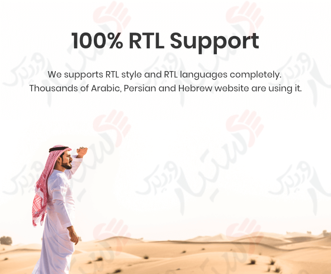 دستیار وردپرس - افزونه AMP for WP Accelerated Mobile Pages