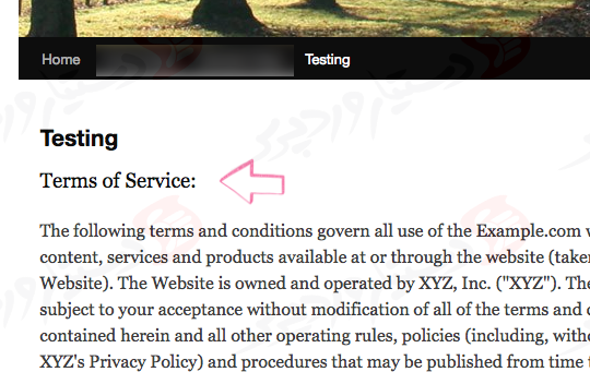 دستیار وردپرس - افزونه Auto Terms of Service and Privacy Policy