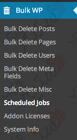 دستیار وردپرس - افزونه Bulk Delete