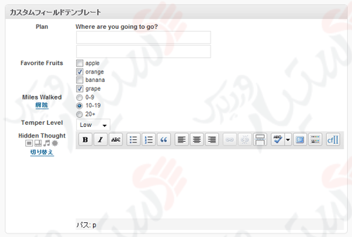 دستیار وردپرس - افزونه Custom Field Template