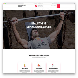 dastyarwp_gym