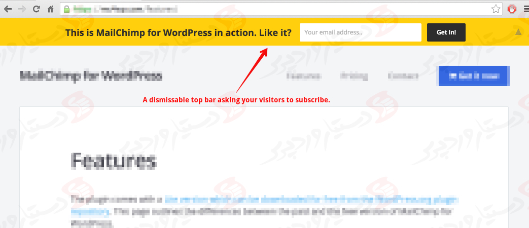 افزونه MailChimp for WordPress