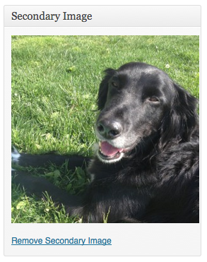 دستیار وردپرس - افزونه Multiple Post Thumbnails