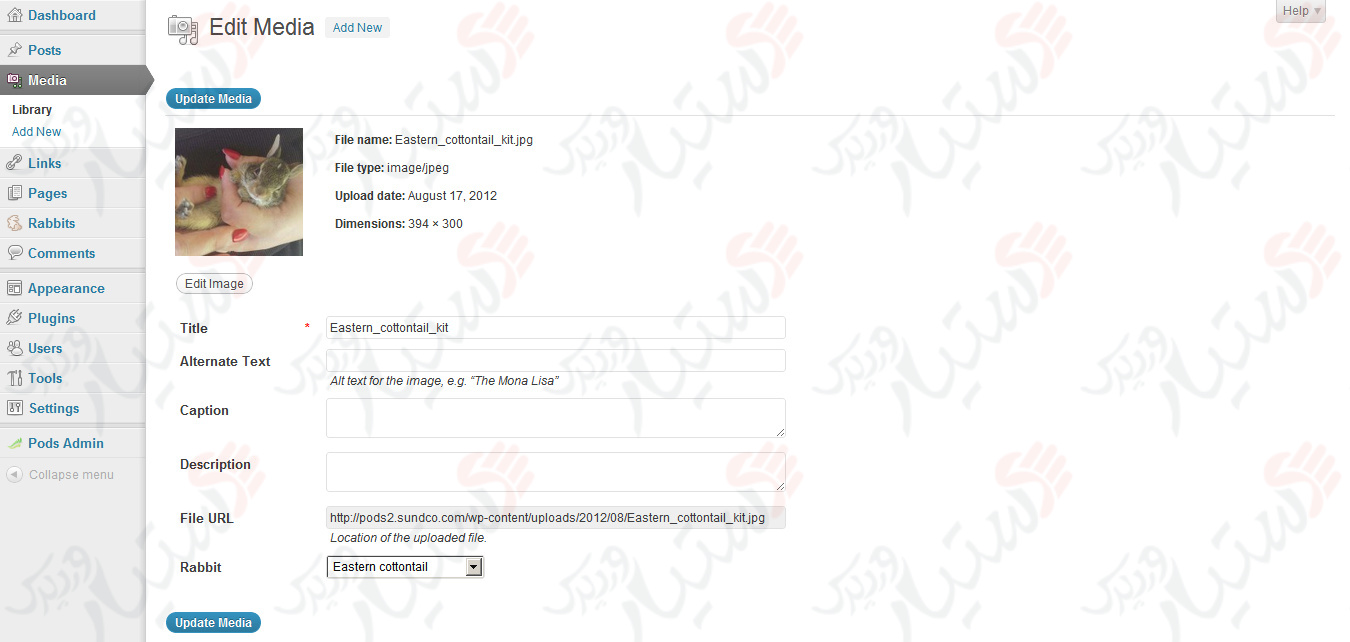 دستیار وردپرس - افزونه Pods Custom Content Types and Fields