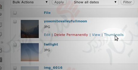 دستیار وردپرس - افزونه Post Thumbnail Editor