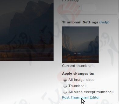 دستیار وردپرس - افزونه Post Thumbnail Editor