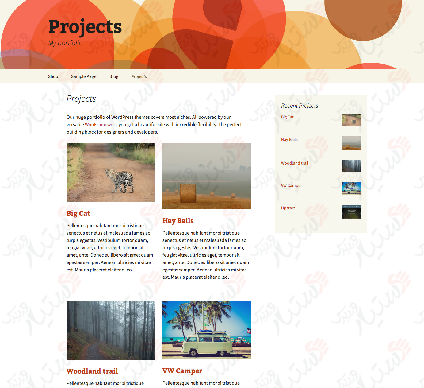 دستیار وردپرس - افزونه Projects by WooThemes