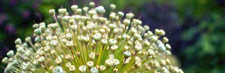 افزونه Redirection