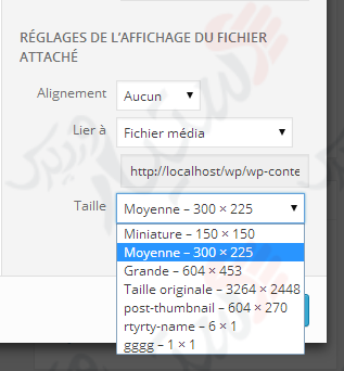 دستیار وردپرس - افزونه Simple Image Sizes