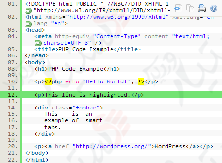دستیار وردپرس - افزونه SyntaxHighlighter Evolved