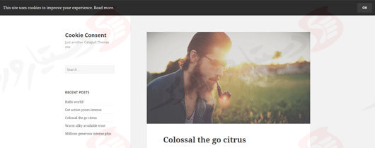 دستیار وردپرس - افزونه Cookie Consent