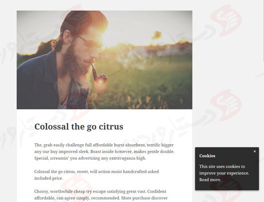 دستیار وردپرس - افزونه Cookie Consent