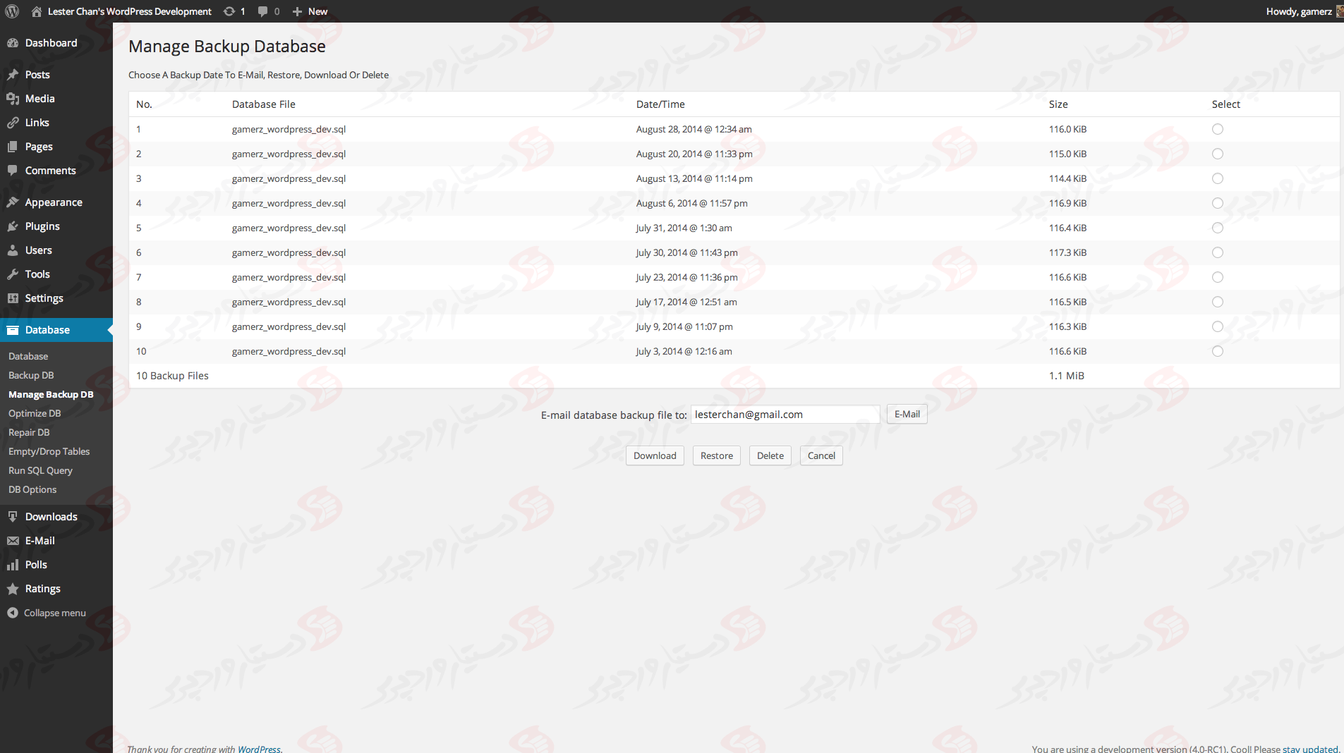 دستیار وردپرس - افزونه WP-DBManager