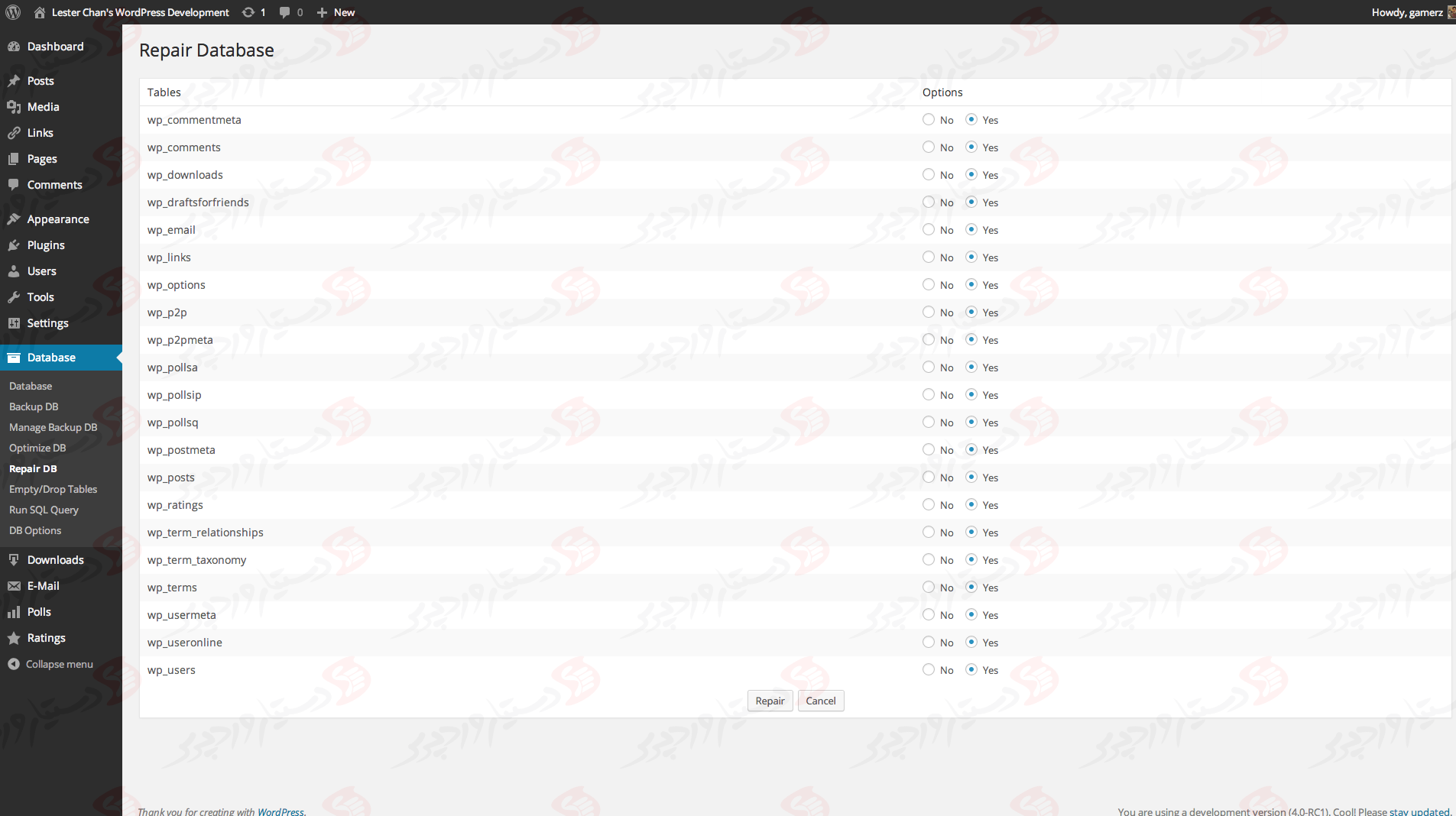 دستیار وردپرس - افزونه WP-DBManager