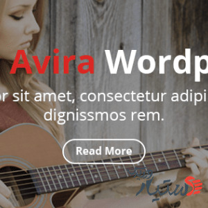 دانلود قالب وردپرس Avira