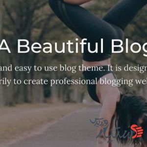 دانلود قالب وردپرس Blogdot