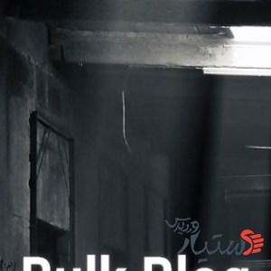 دانلود قالب وردپرس Bulk Blog