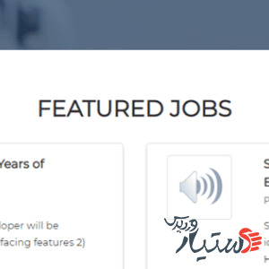 دانلود قالب وردپرس Job Portal