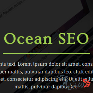 دانلود قالب وردپرس Ocean SEO