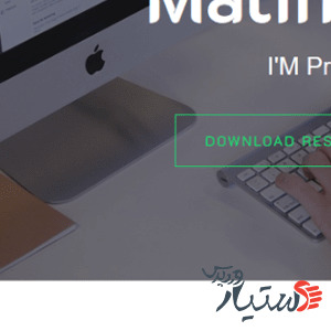 دانلود قالب وردپرس Online CV Resume