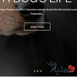 دانلود قالب وردپرس Pet Business