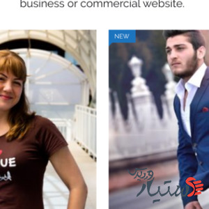 دانلود قالب وردپرس SparkleStore Lite