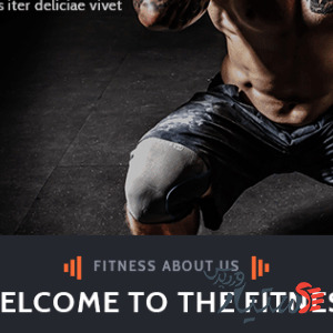 دانلود قالب وردپرس VW Fitness Gym